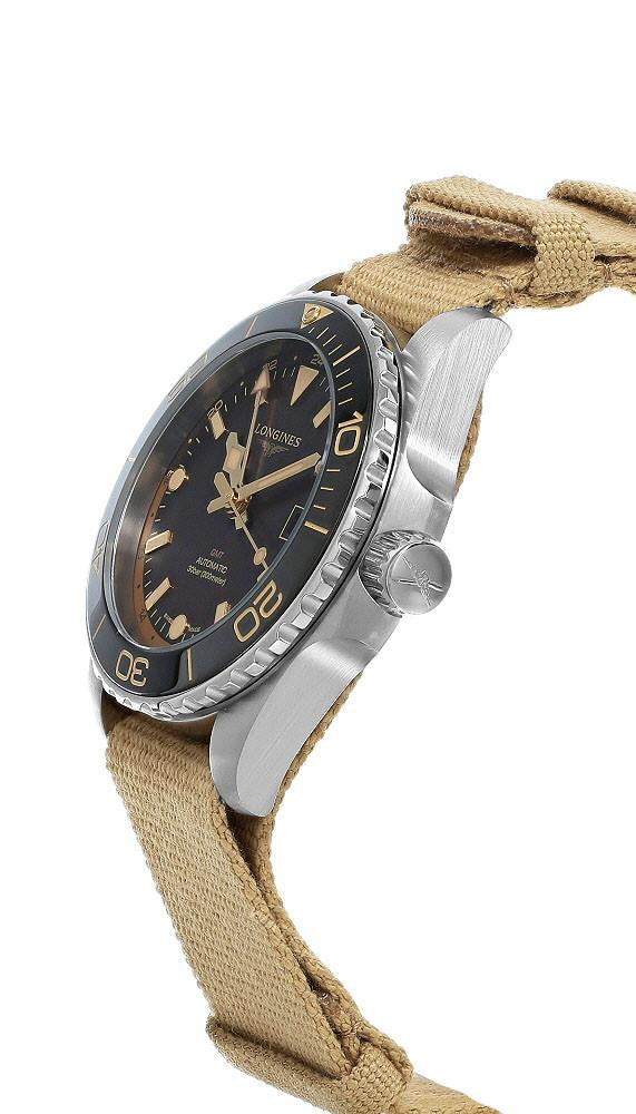 GMT HydroConquest Automatic 41 mm Brown Dial Men's Watch